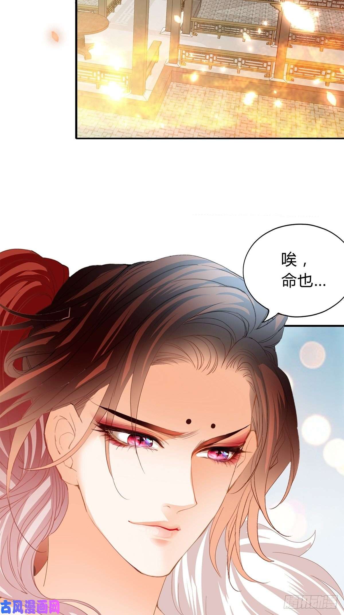 本王要你夺帝之路