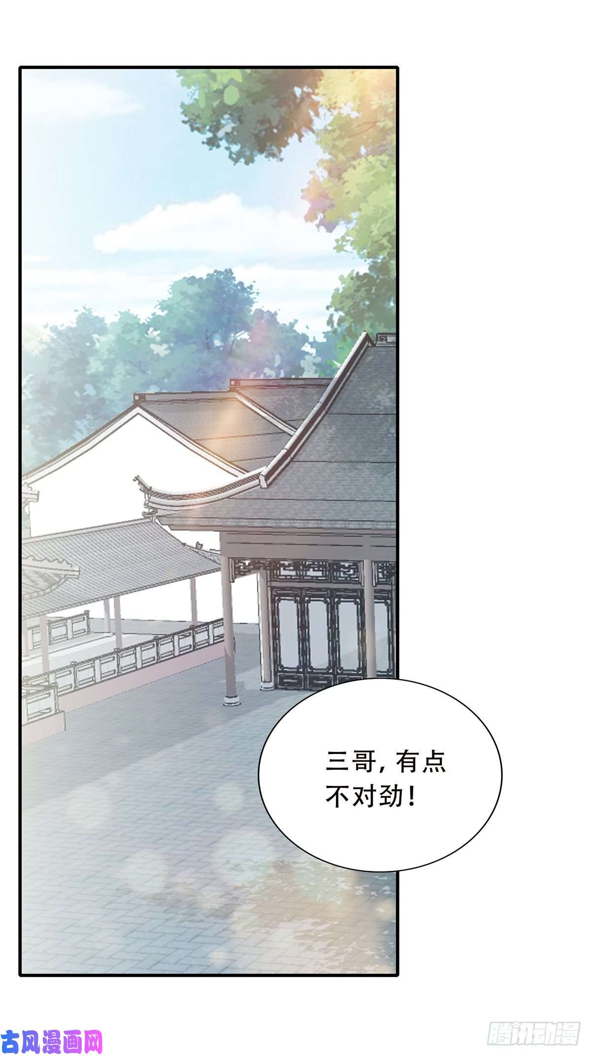 本王要你挂念太子妃