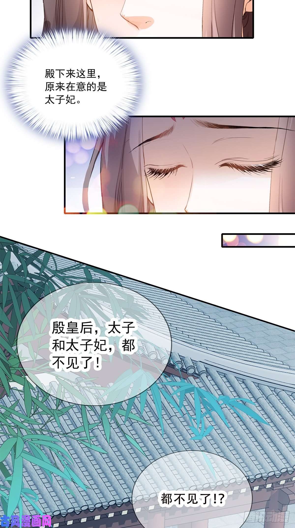 本王要你挂念太子妃