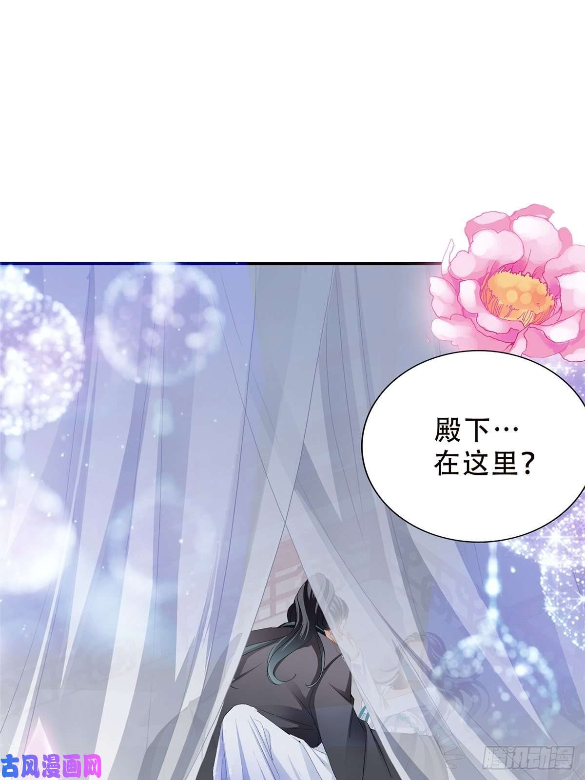 本王要你替身？