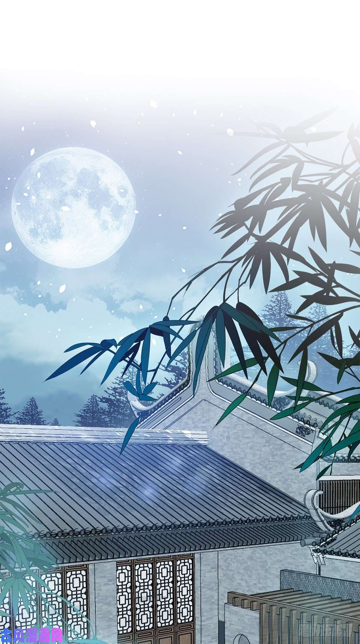 本王要你大婚之夜