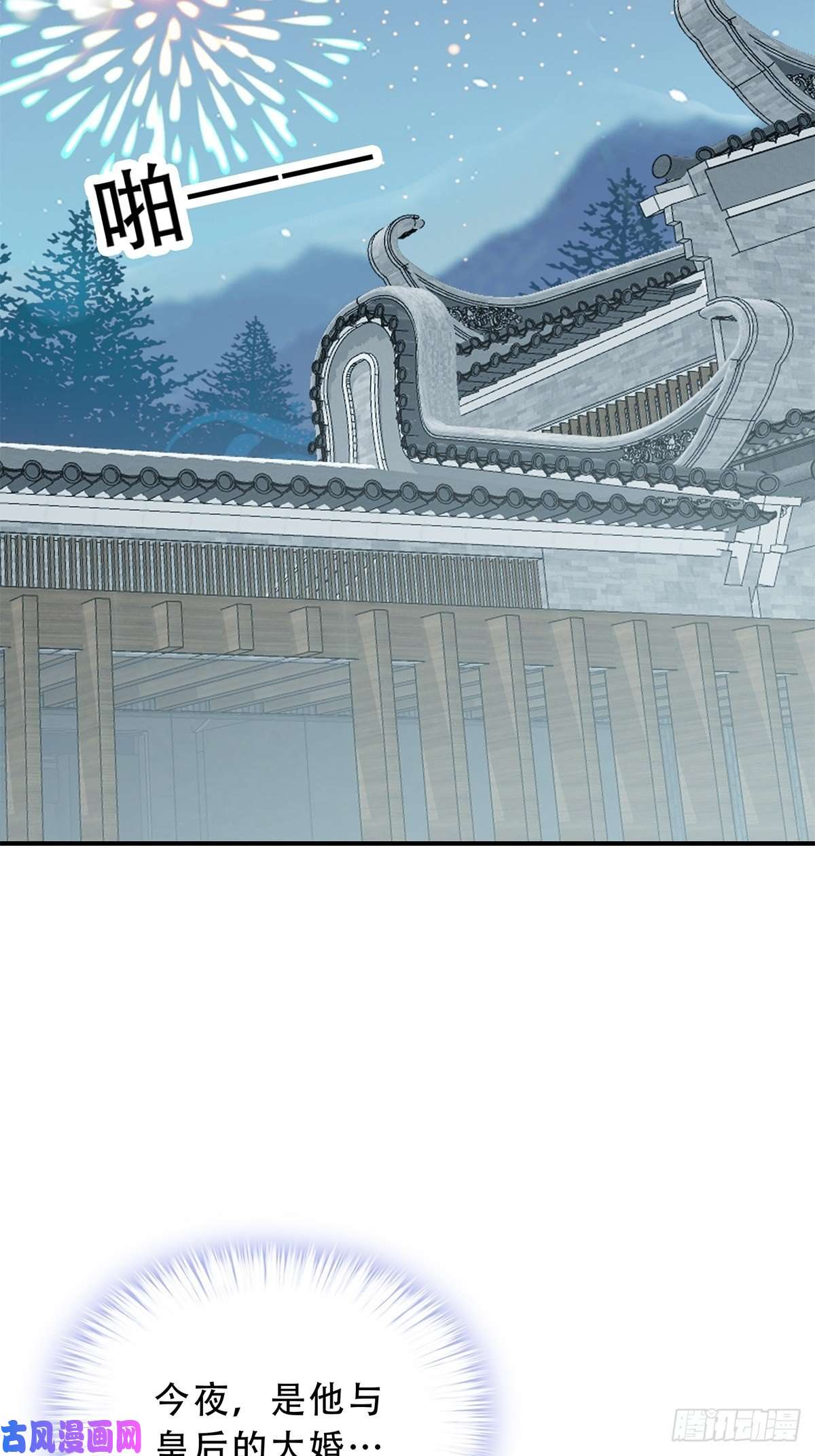 本王要你大婚之夜