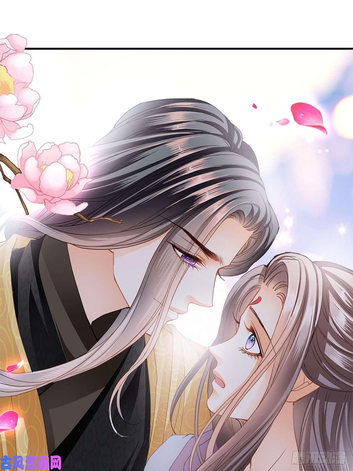 本王要你大婚之夜