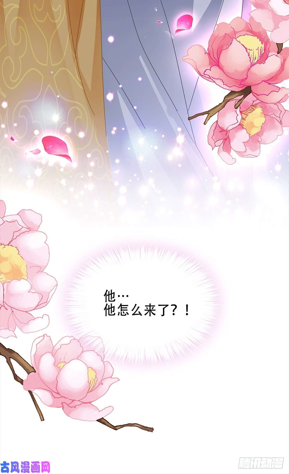 本王要你大婚之夜