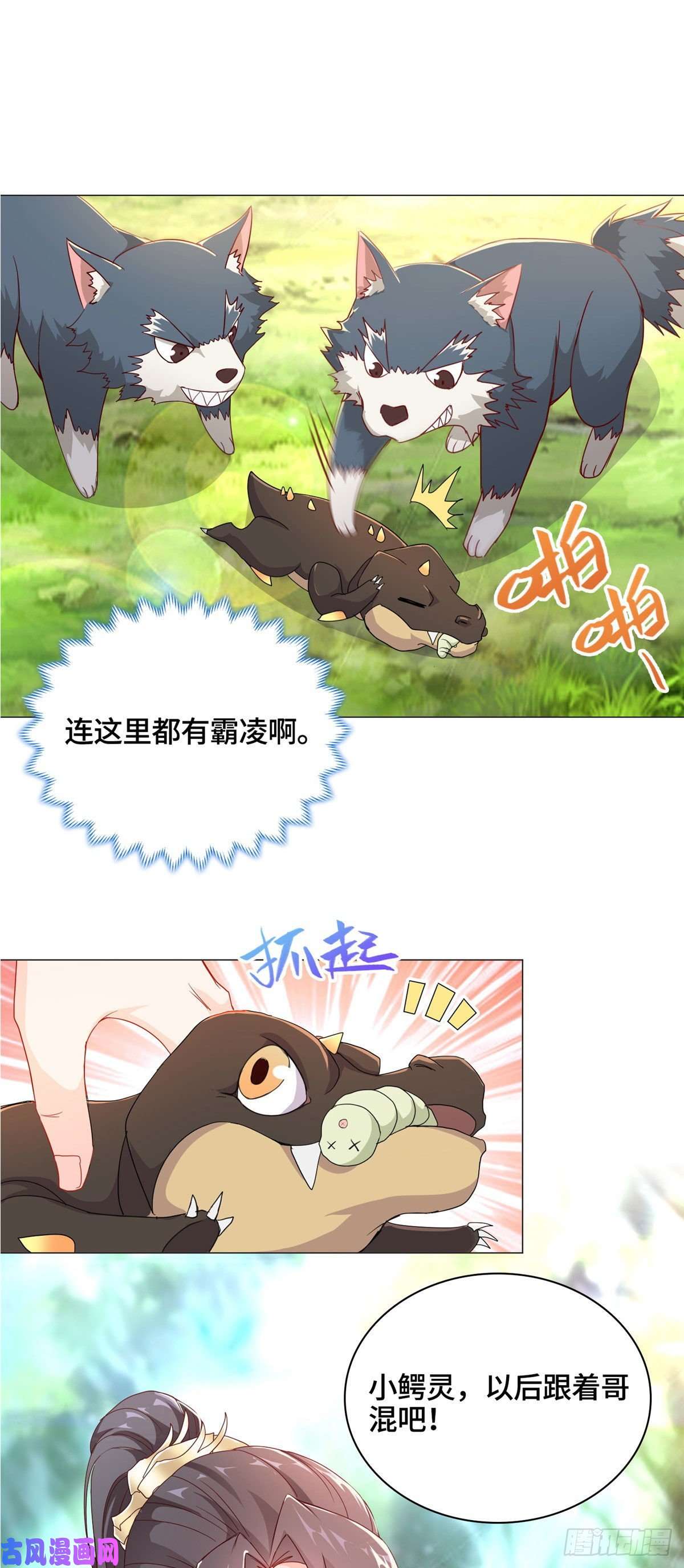牧龙师06 幼灵小黑牙
