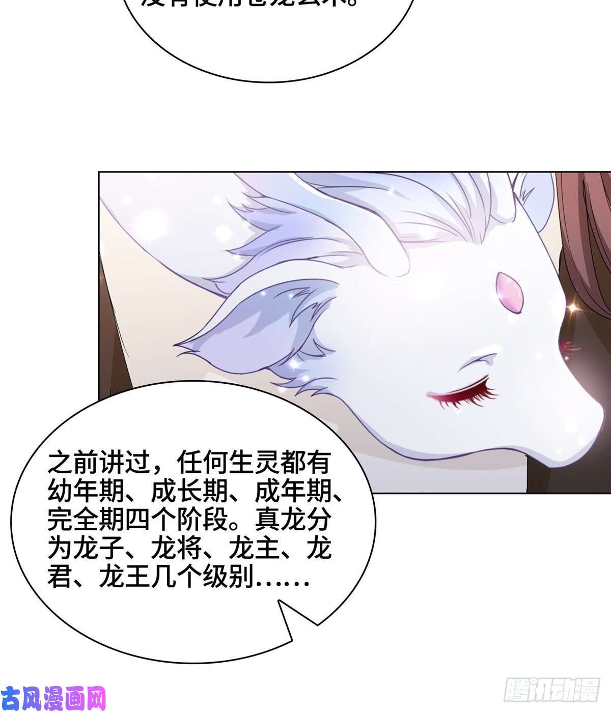 牧龙师12 段岚老师的请求