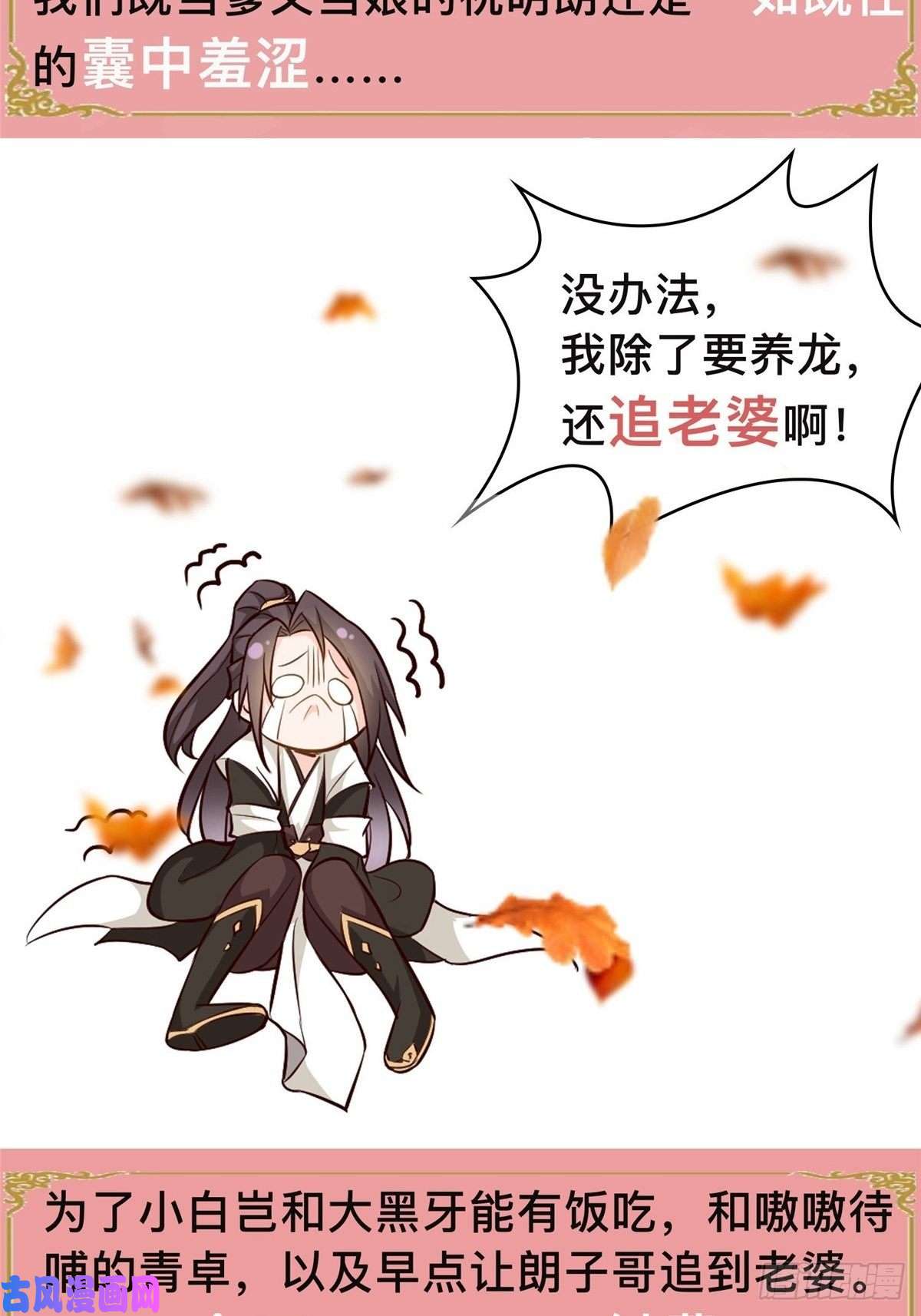 牧龙师公告