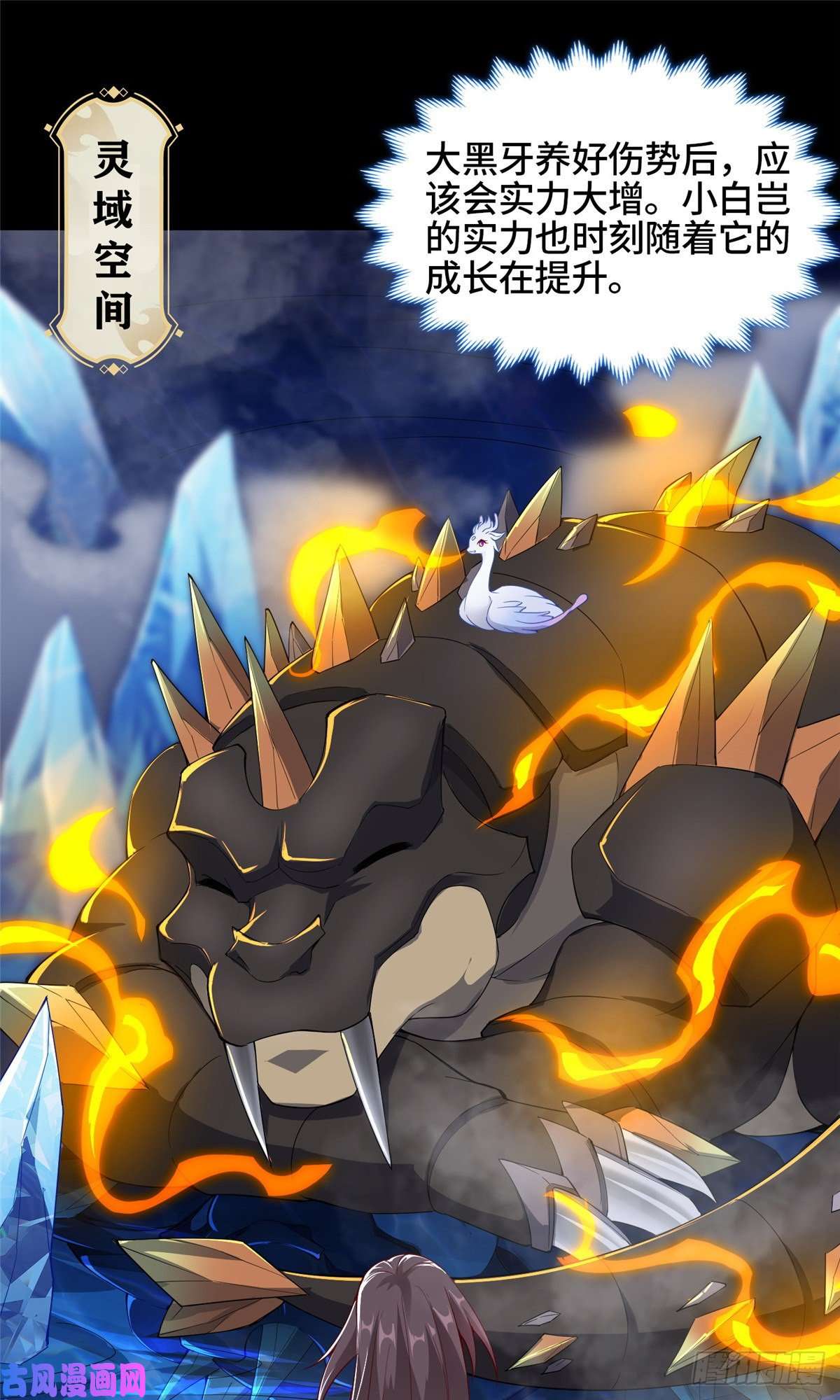 牧龙师67 成年木龙