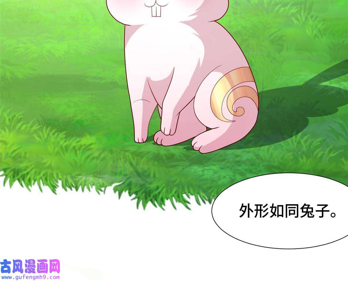 牧龙师172 孽兽花猫
