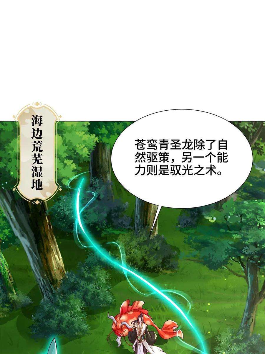 牧龙师194 湿地训练