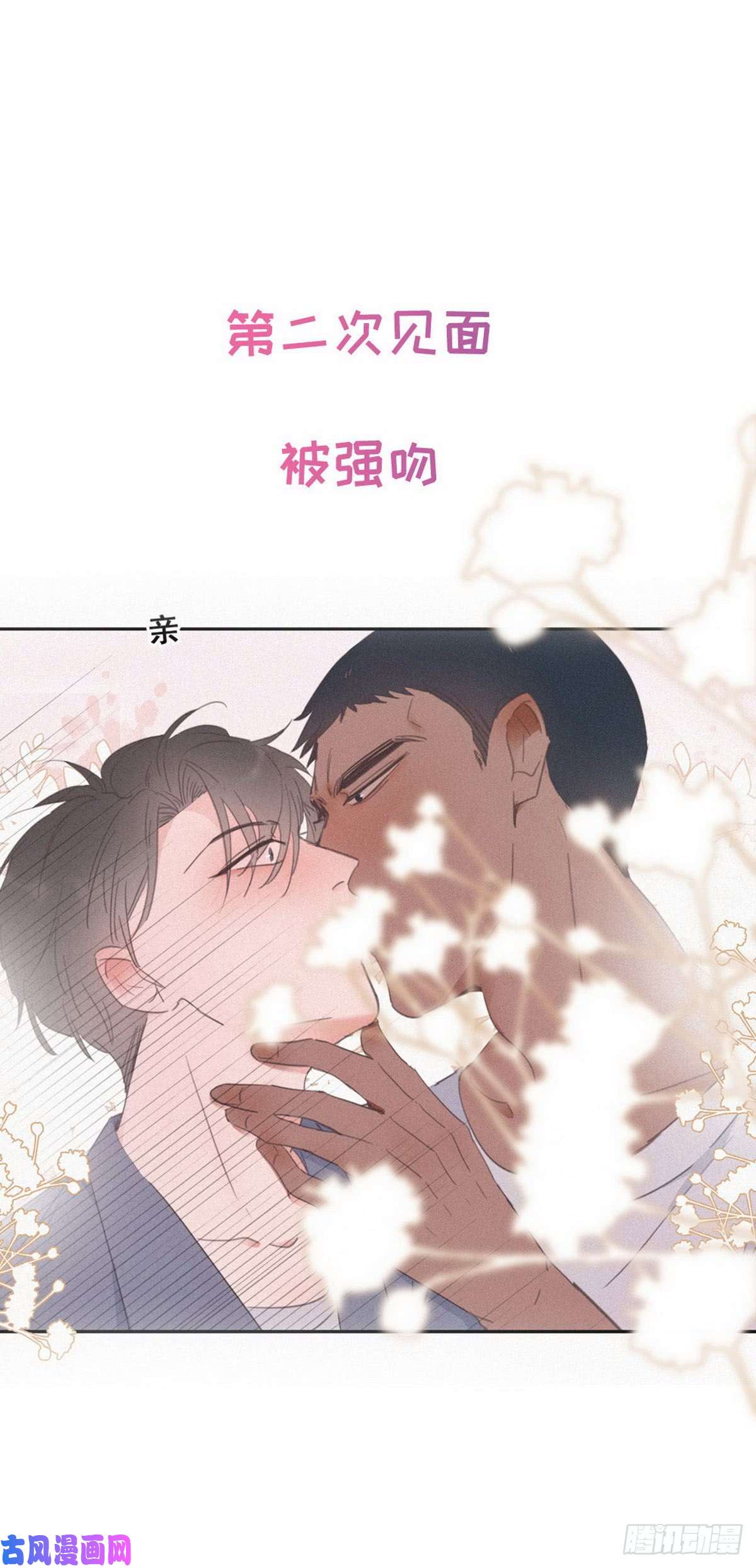 逆袭之好孕人生序章