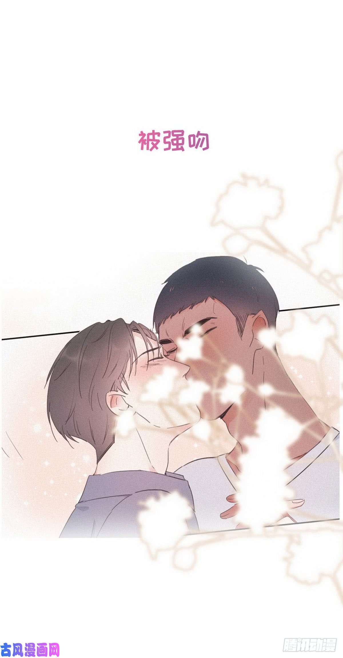 逆袭之好孕人生序章