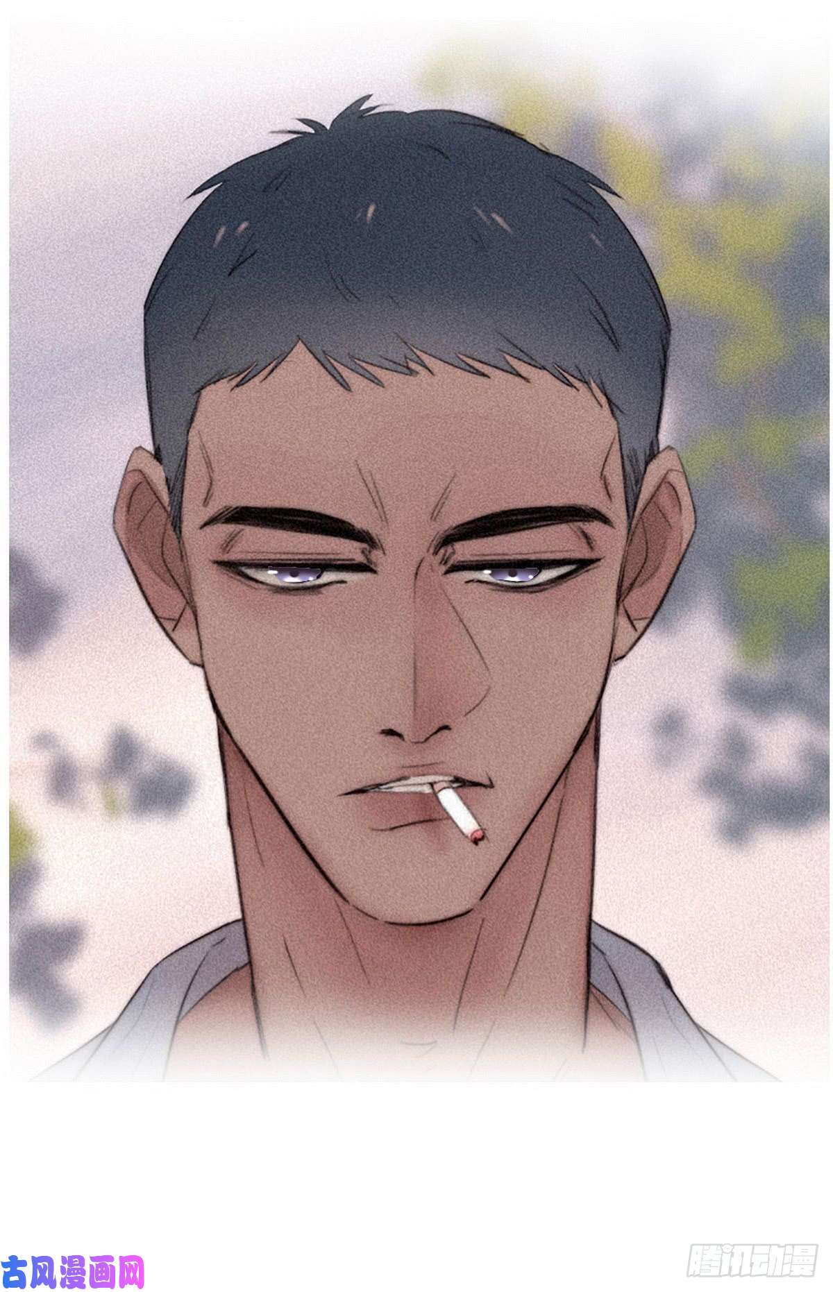 逆袭之好孕人生序章