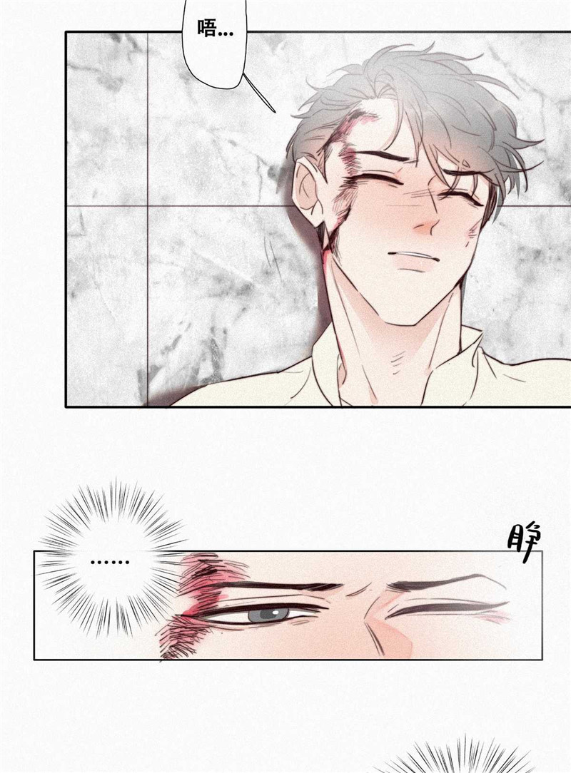 逆袭之好孕人生序章＋第一话