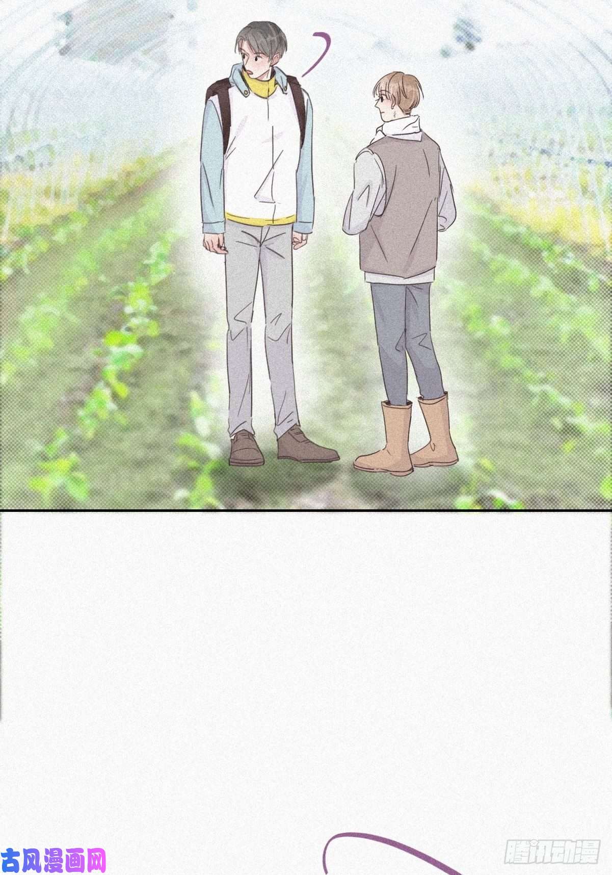 逆袭之好孕人生第33话 三角关系
