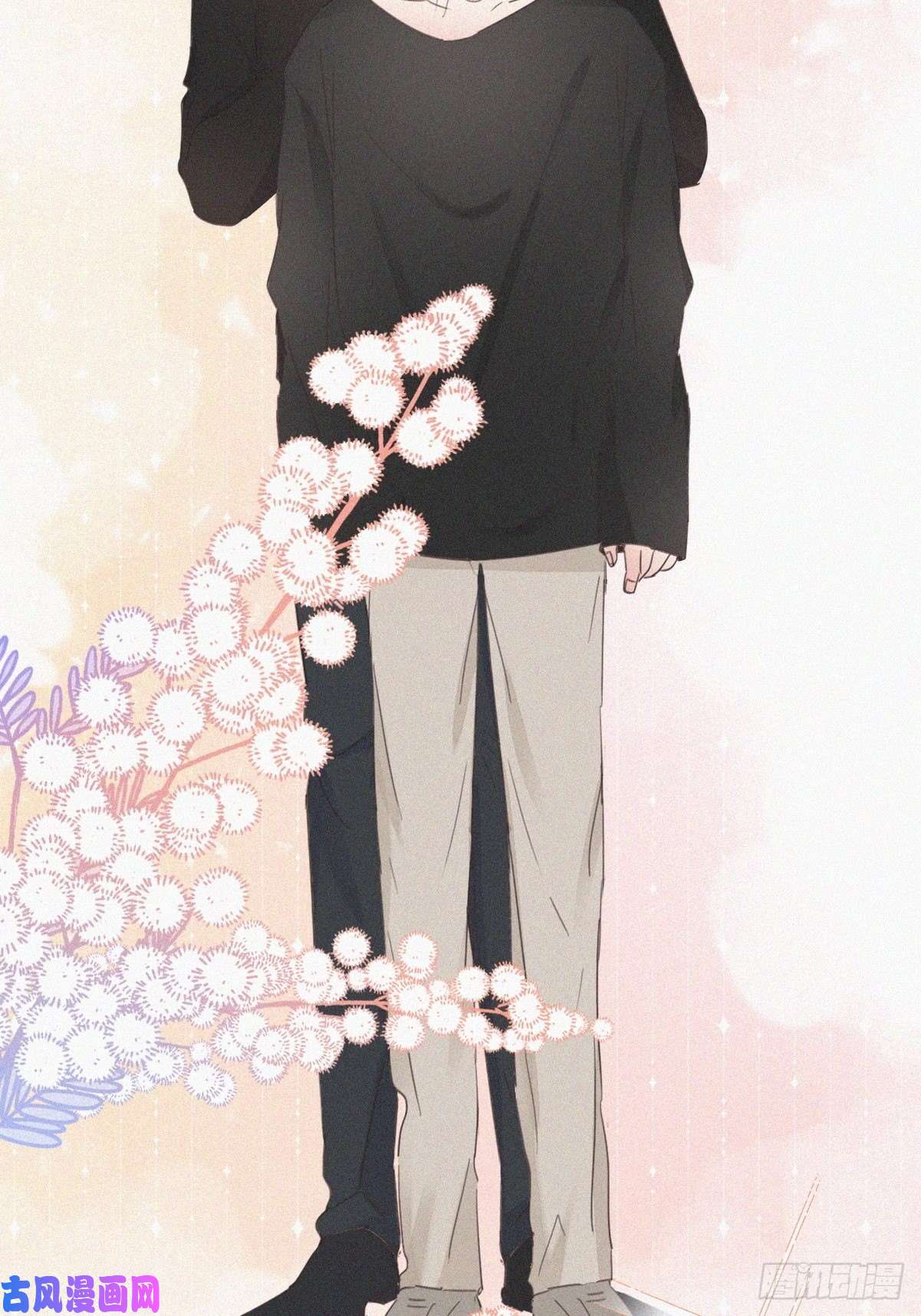 逆袭之好孕人生第42话 幸福高光时刻