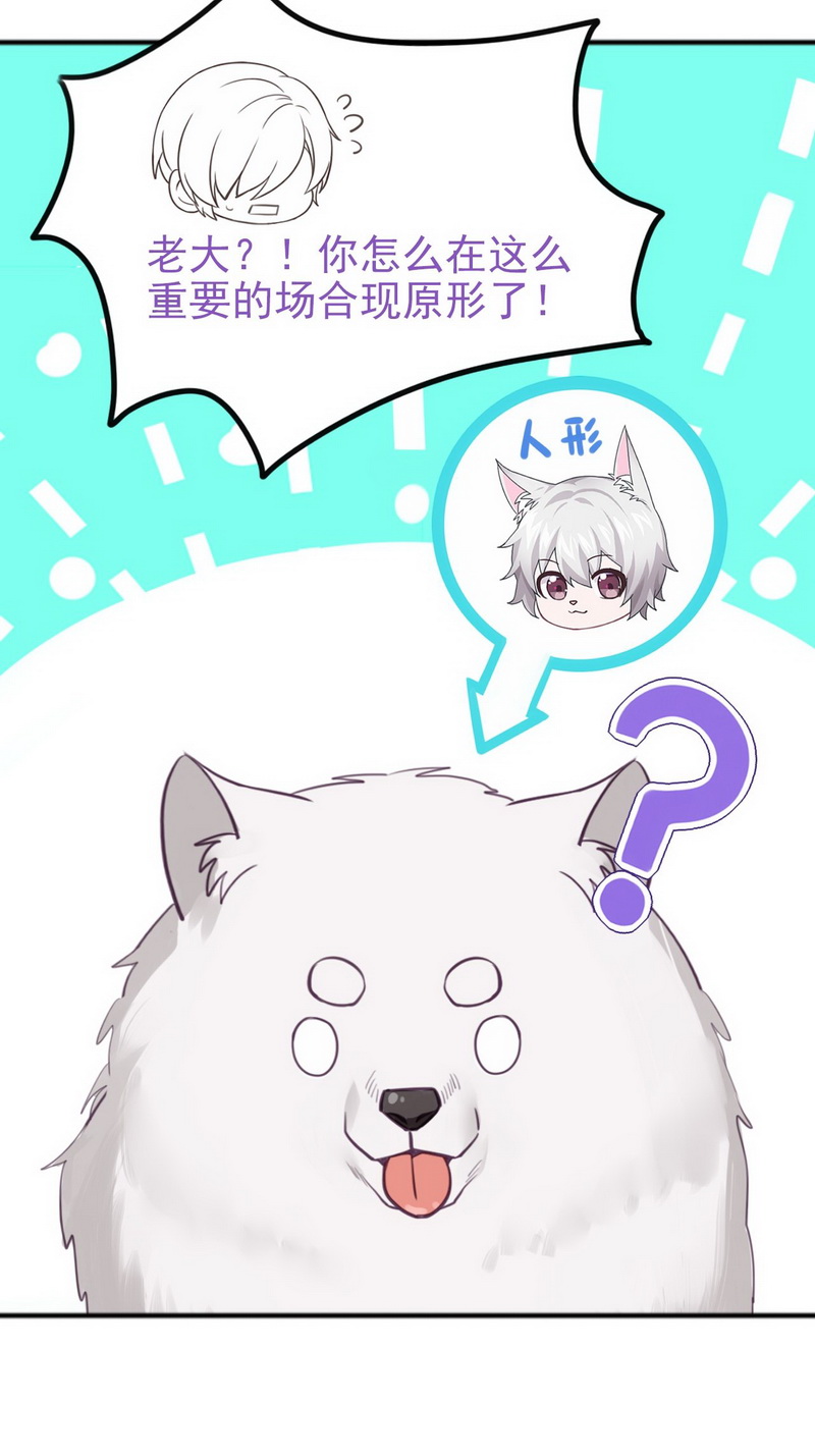 逆袭之好孕人生第39话 你的嘴怎么肿了