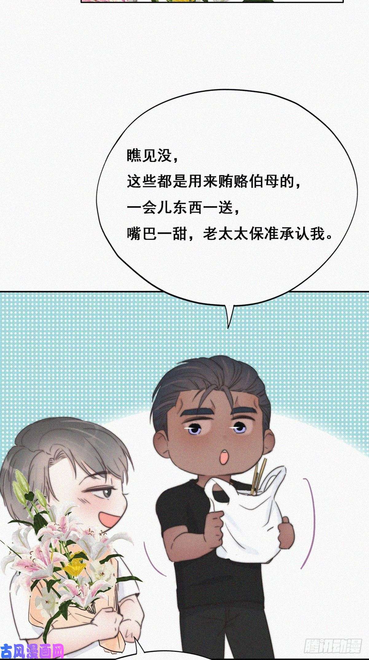 逆袭之好孕人生第61话 墓园扫墓