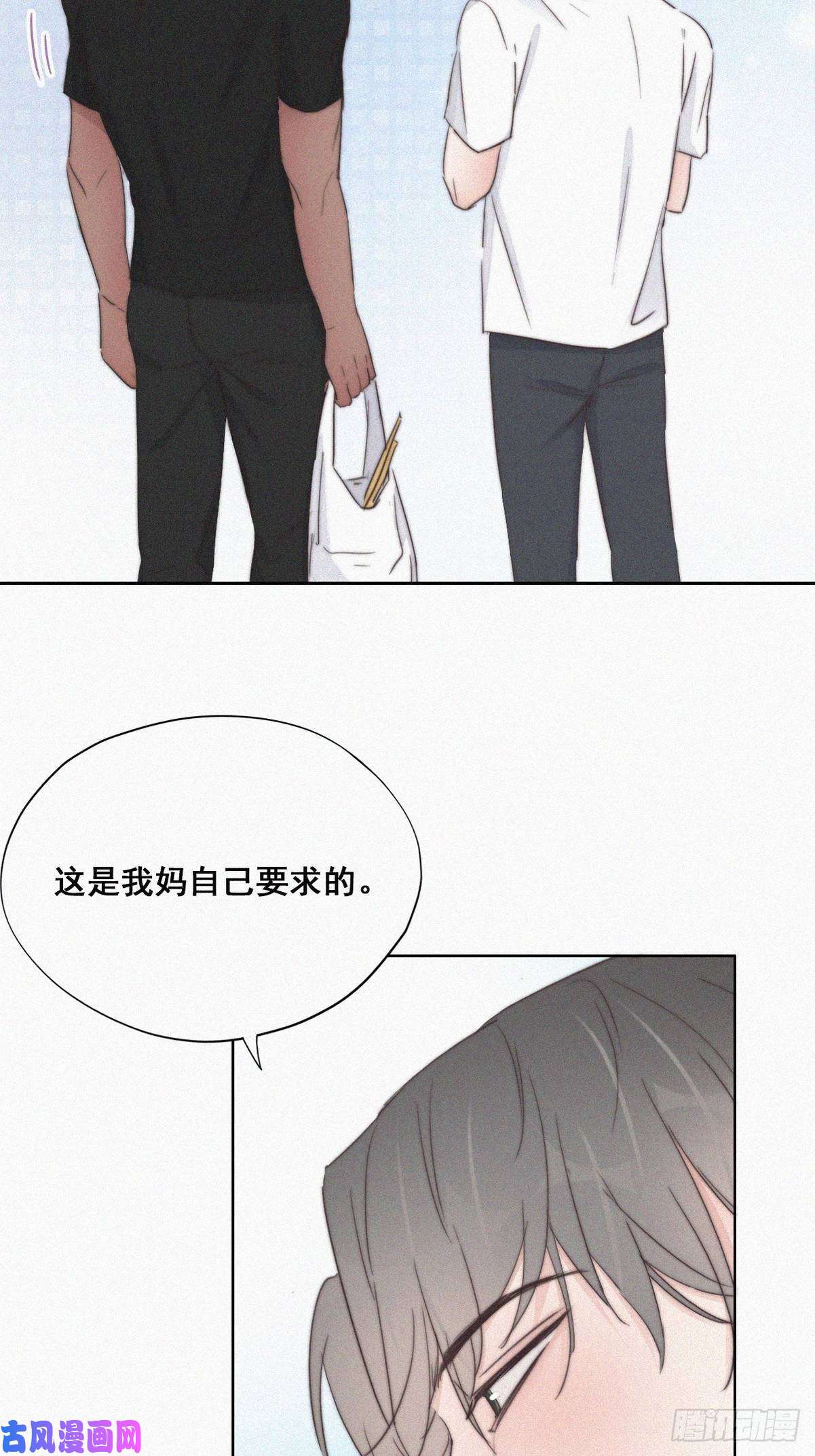 逆袭之好孕人生第61话 墓园扫墓