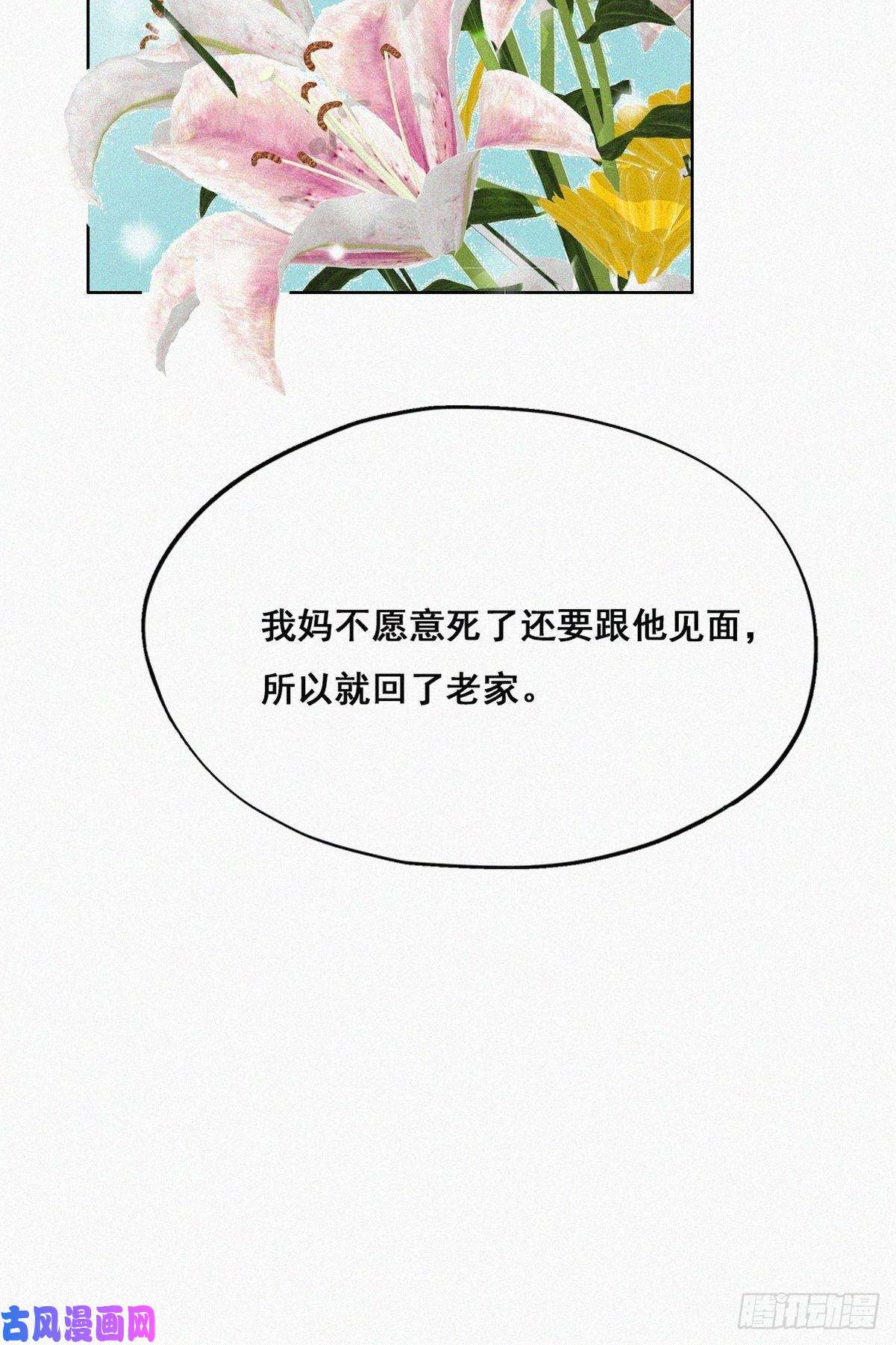 逆袭之好孕人生第61话 墓园扫墓