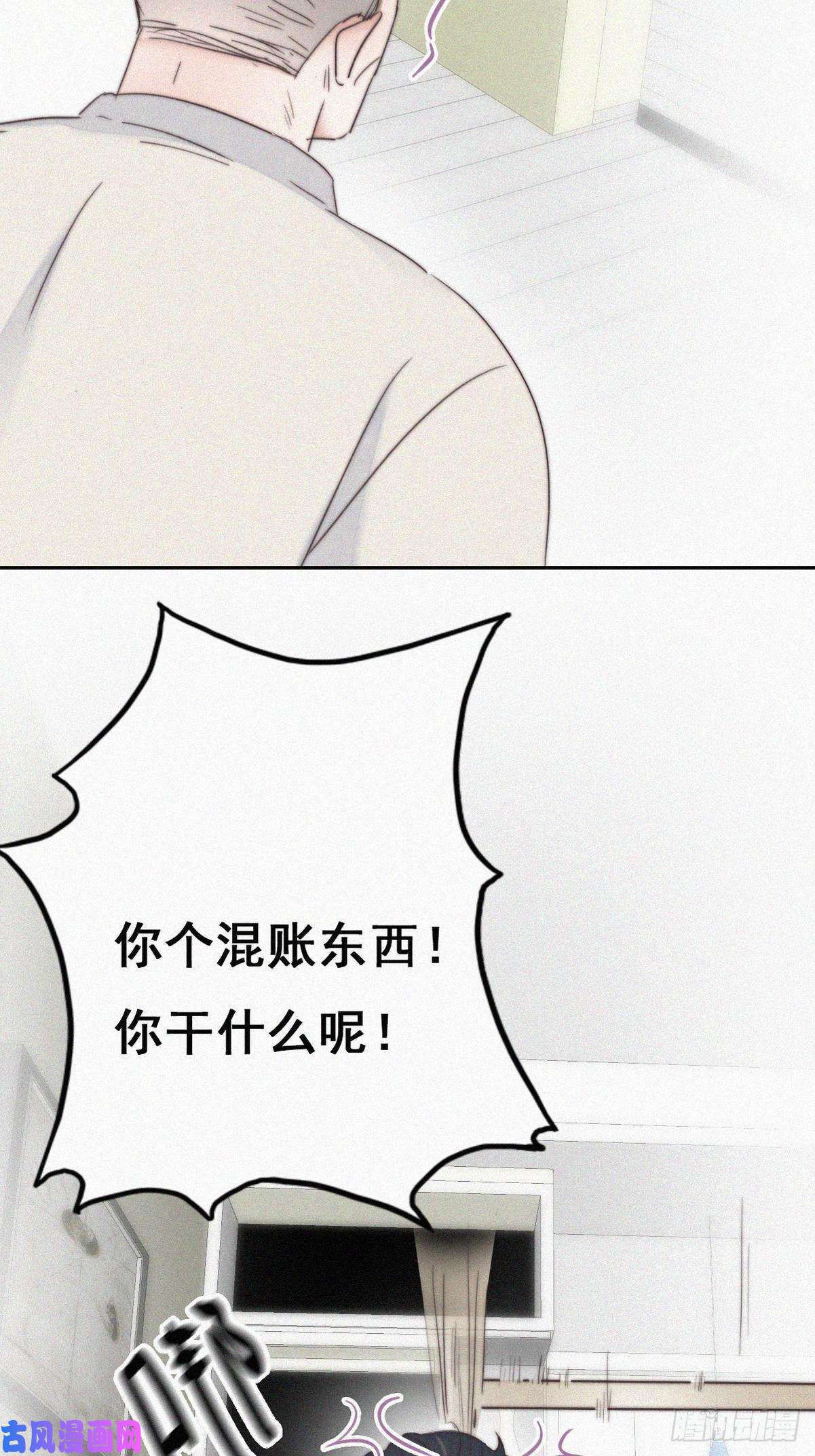 逆袭之好孕人生第63话 初见钟叔