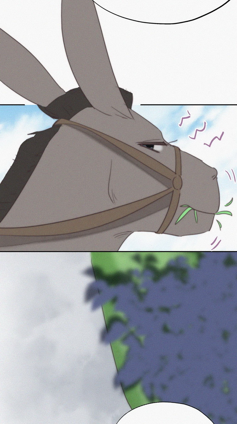 逆袭之好孕人生第63话 墓园扫墓