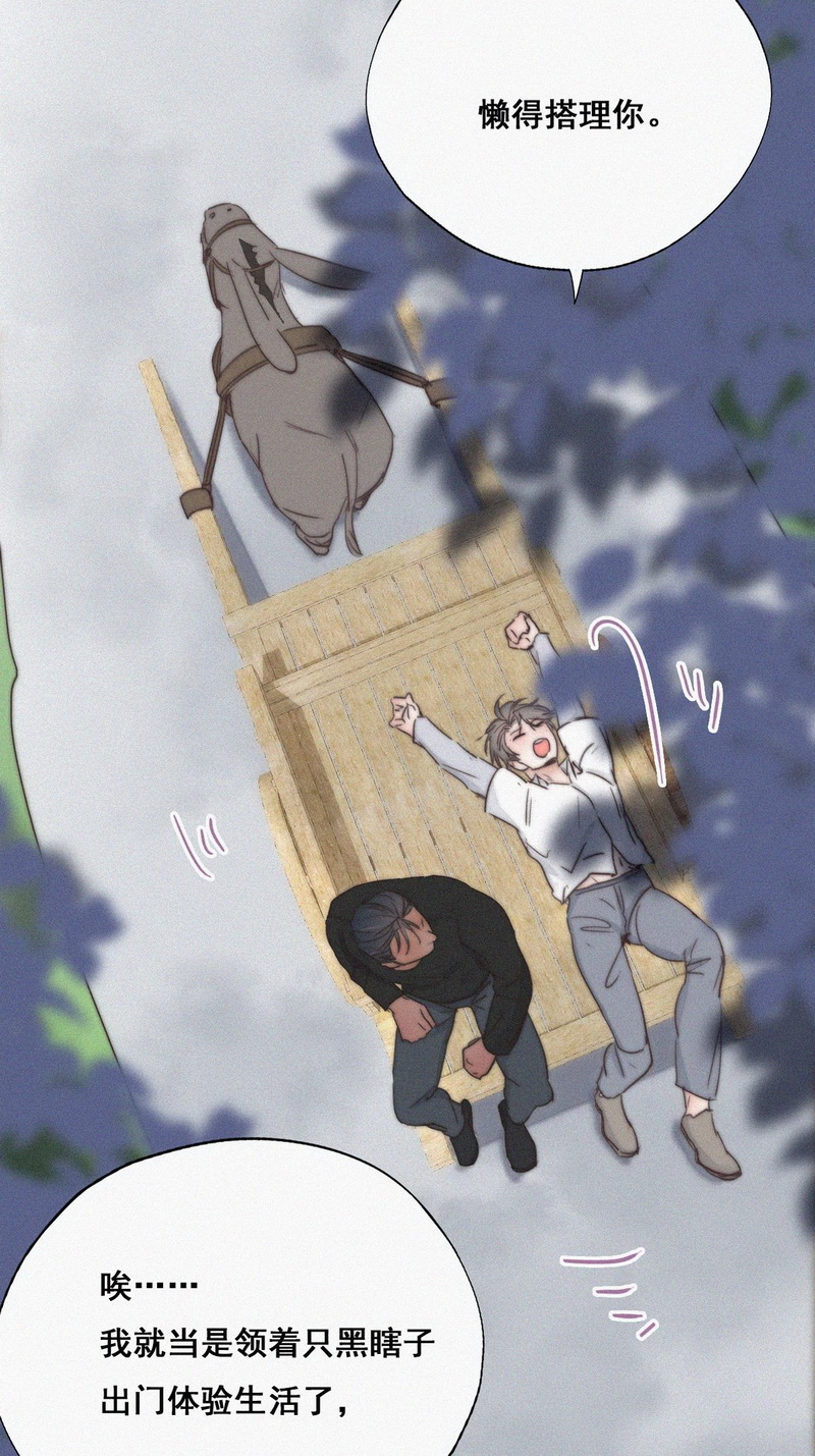 逆袭之好孕人生第63话 墓园扫墓