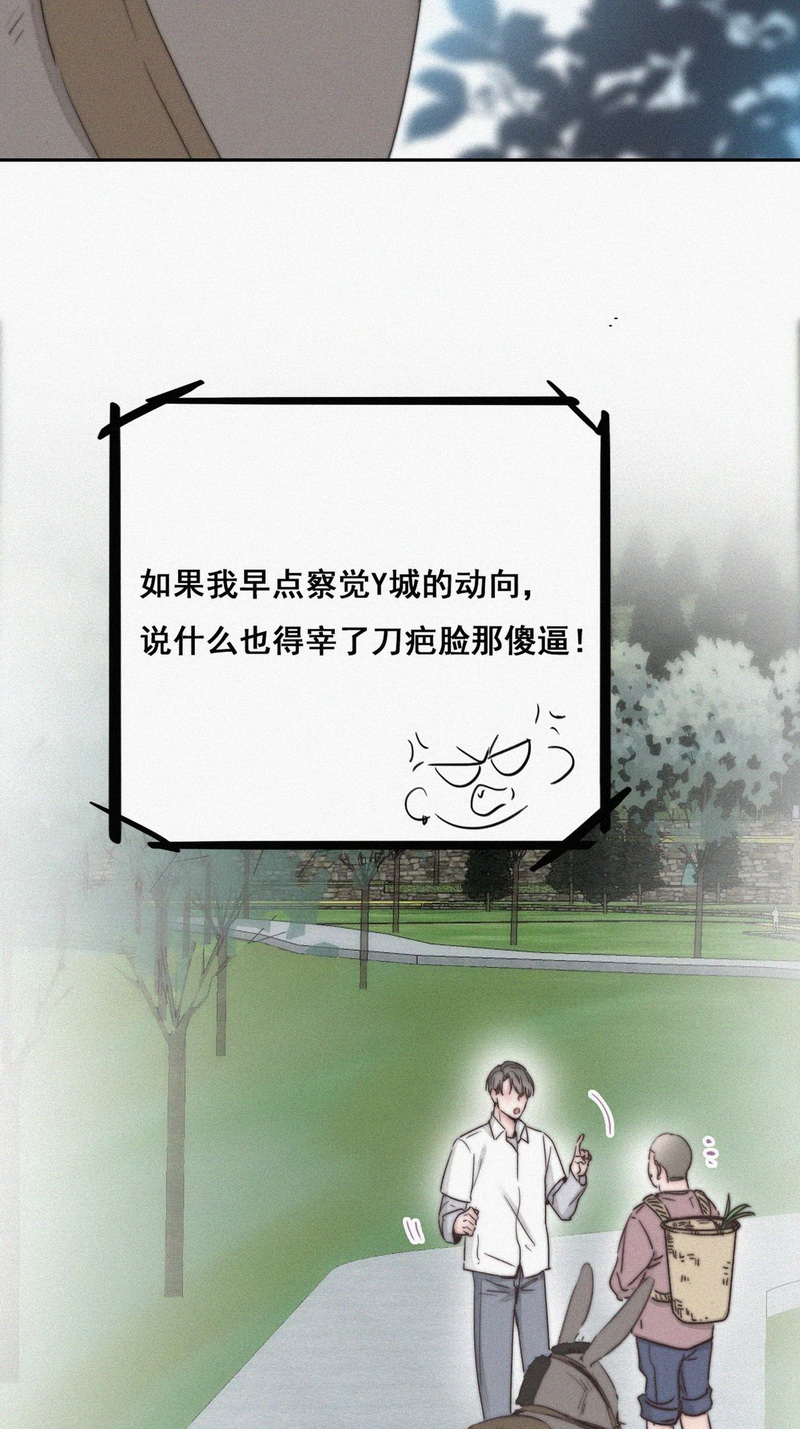 逆袭之好孕人生第63话 墓园扫墓