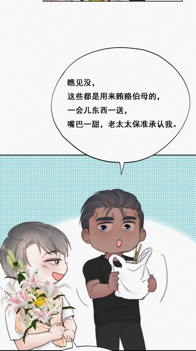 逆袭之好孕人生第63话 墓园扫墓