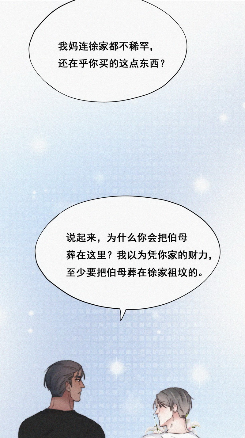 逆袭之好孕人生第63话 墓园扫墓