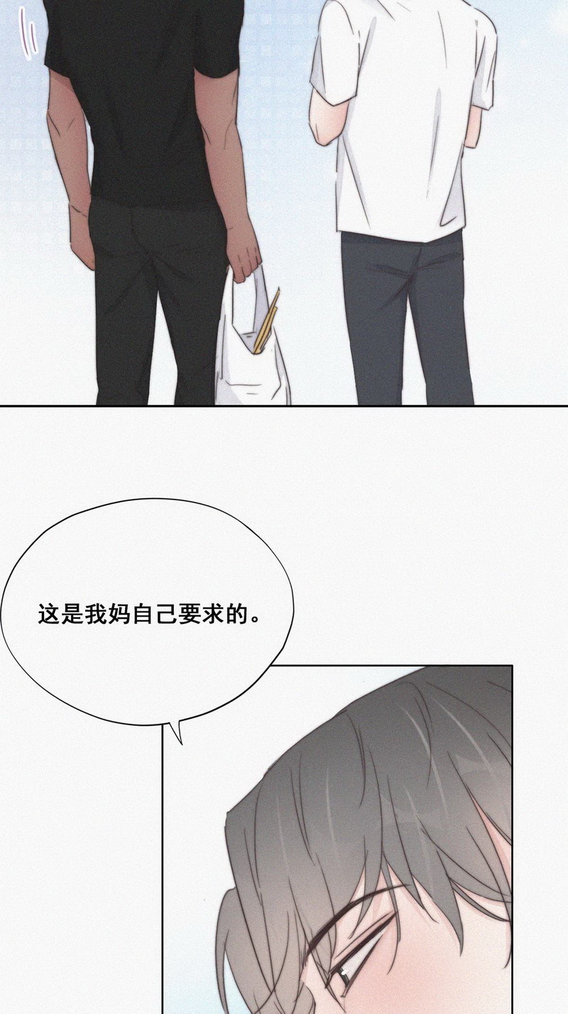 逆袭之好孕人生第63话 墓园扫墓