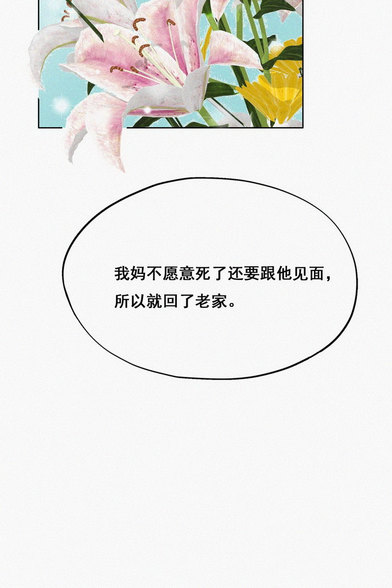 逆袭之好孕人生第63话 墓园扫墓