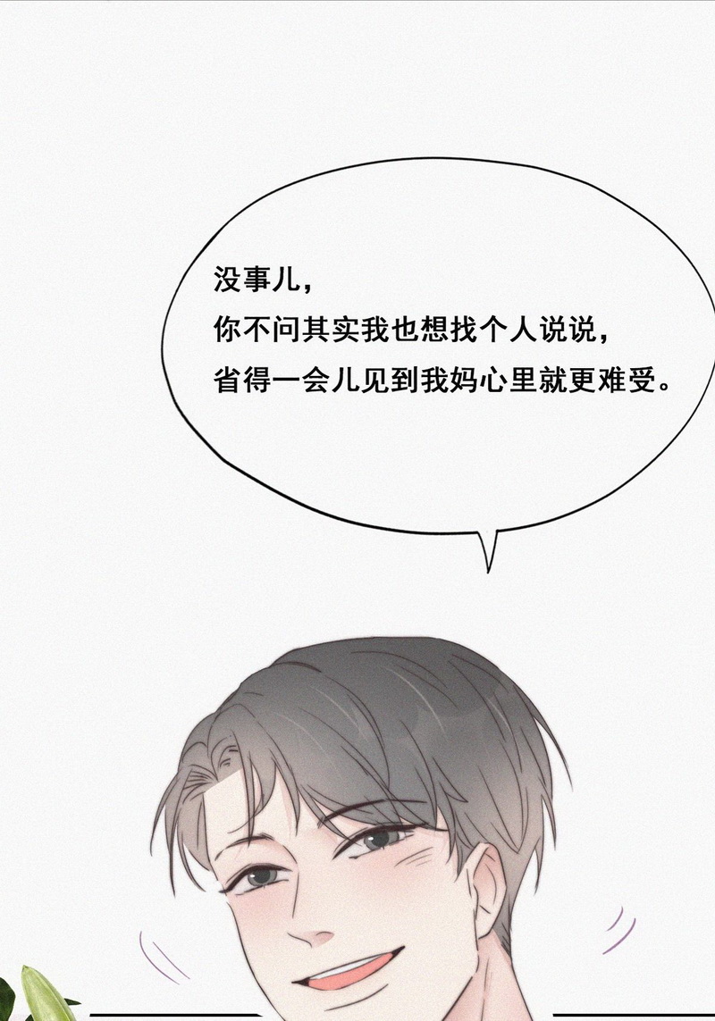 逆袭之好孕人生第63话 墓园扫墓