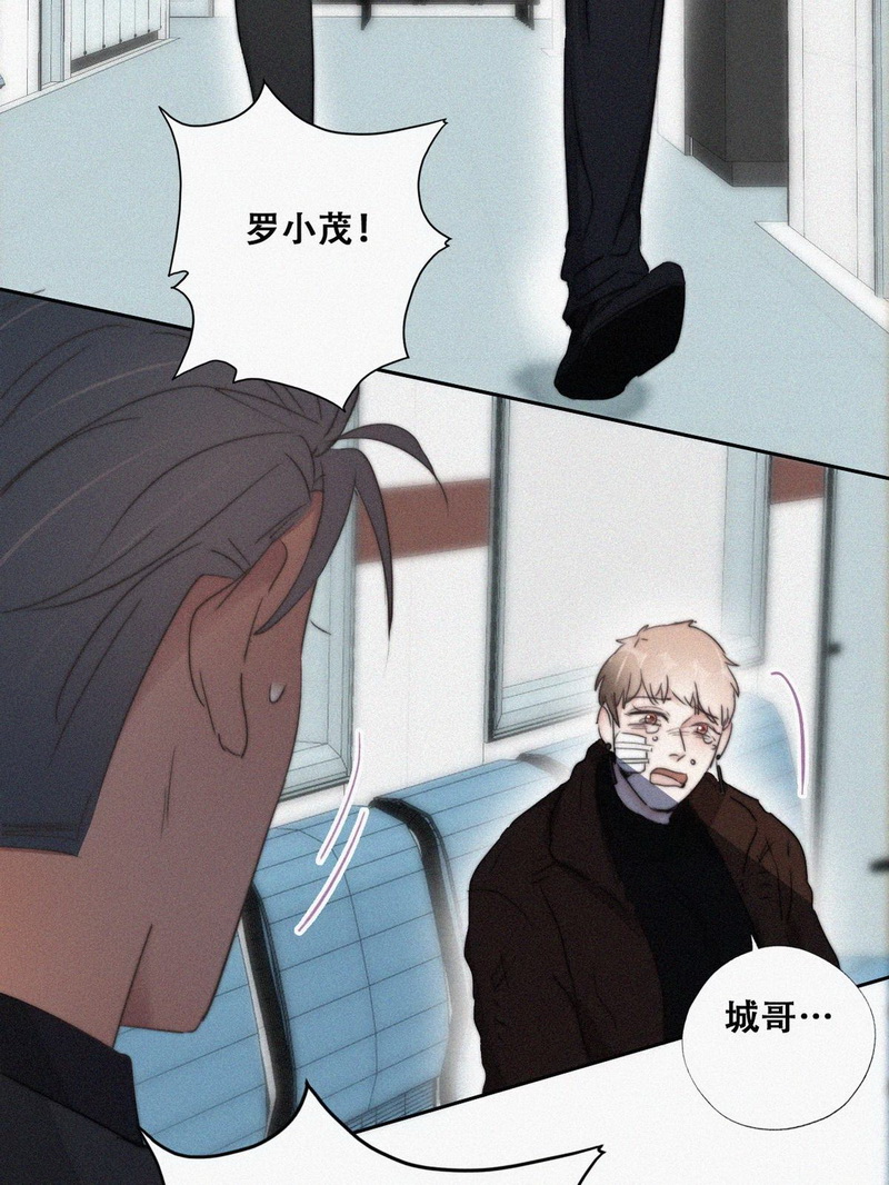 逆袭之好孕人生第69话 窝窝危在旦夕