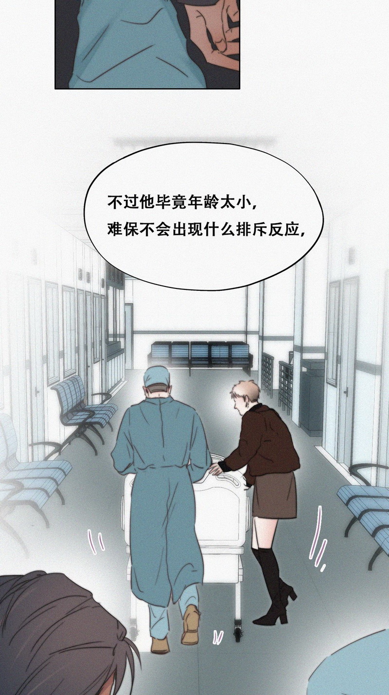 逆袭之好孕人生第70话 窝窝脱离危险