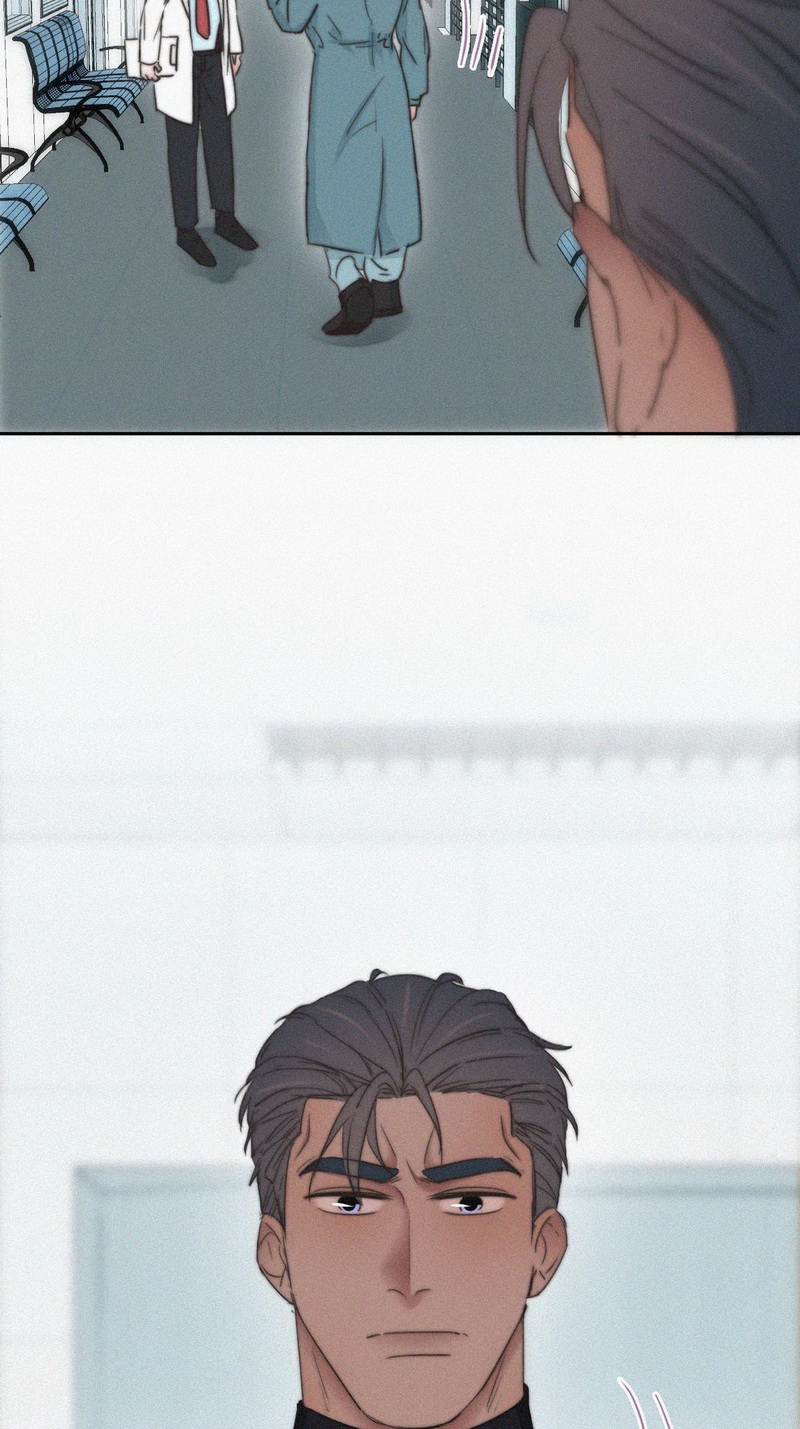 逆袭之好孕人生第70话 窝窝脱离危险