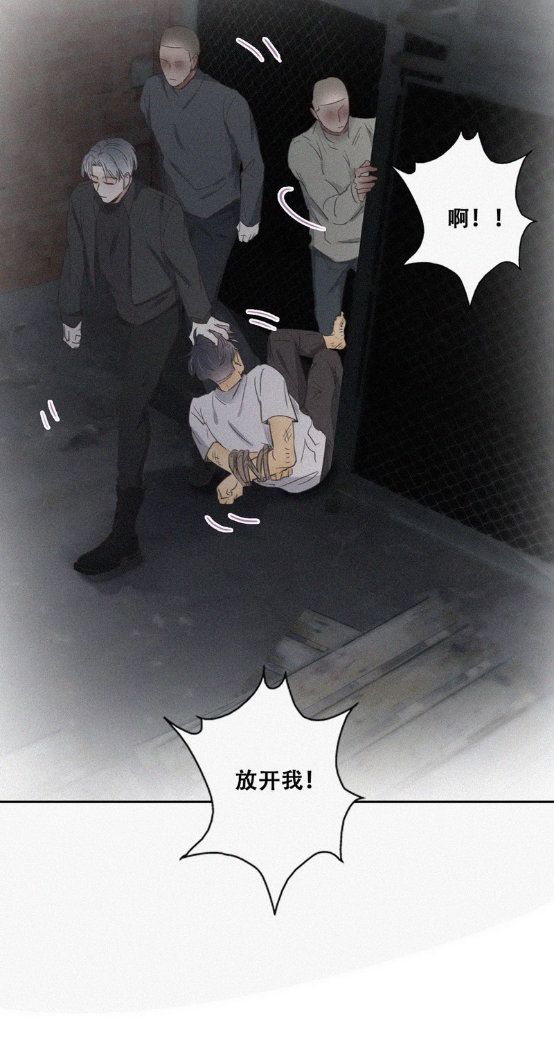 逆袭之好孕人生第73话 抓住肇事者