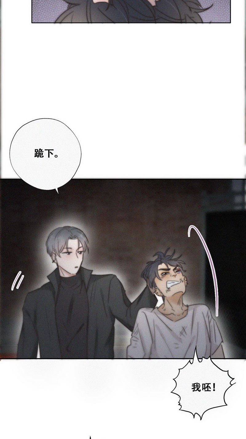 逆袭之好孕人生第73话 抓住肇事者