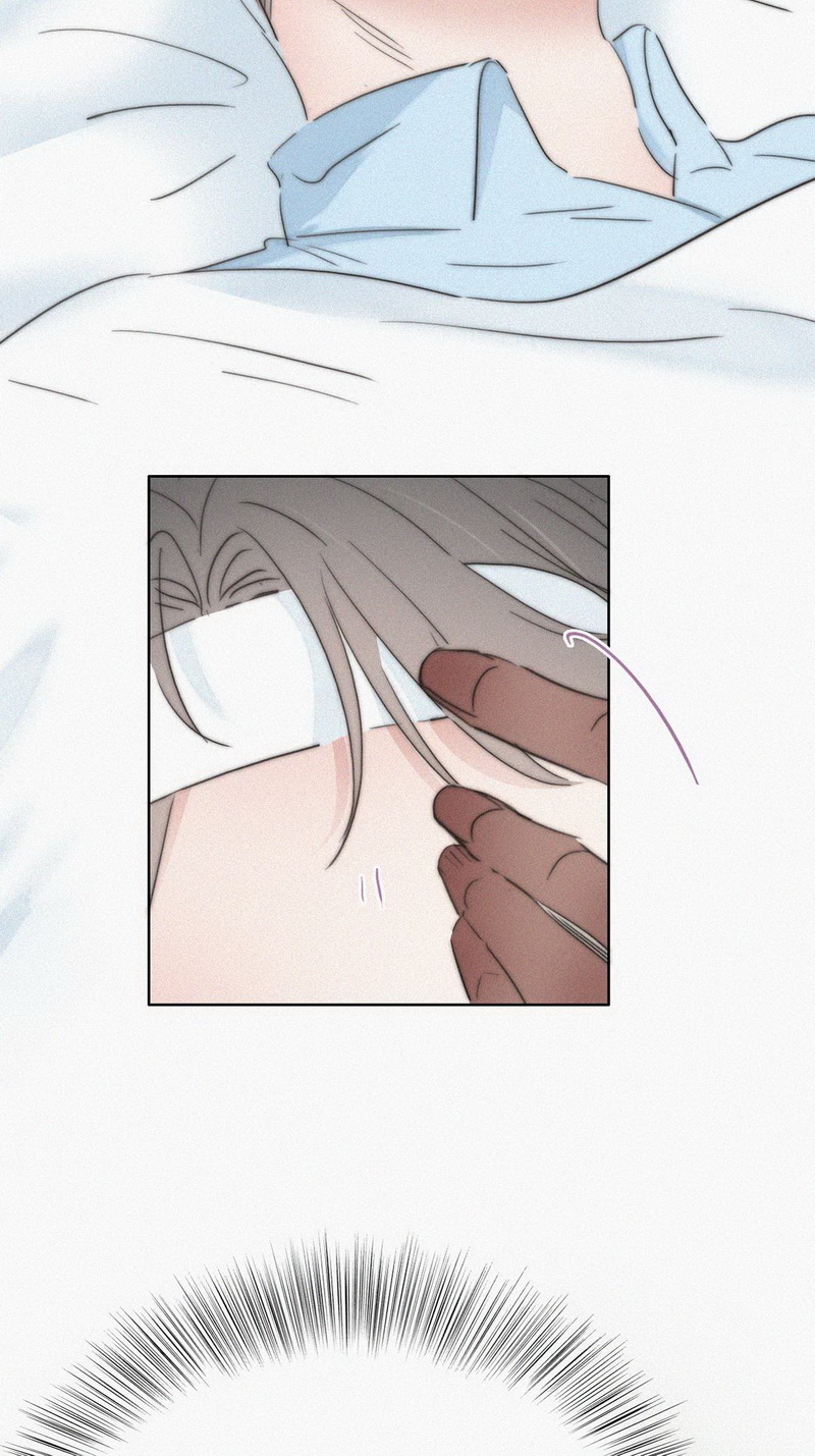 逆袭之好孕人生第77话 和窝窝的秘密