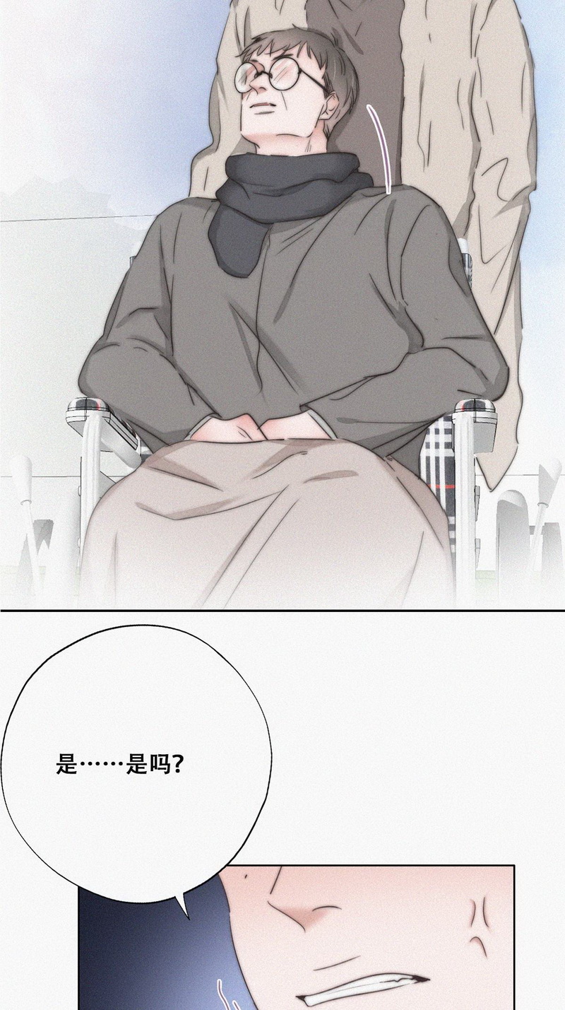 逆袭之好孕人生第82话 绿箭再作妖