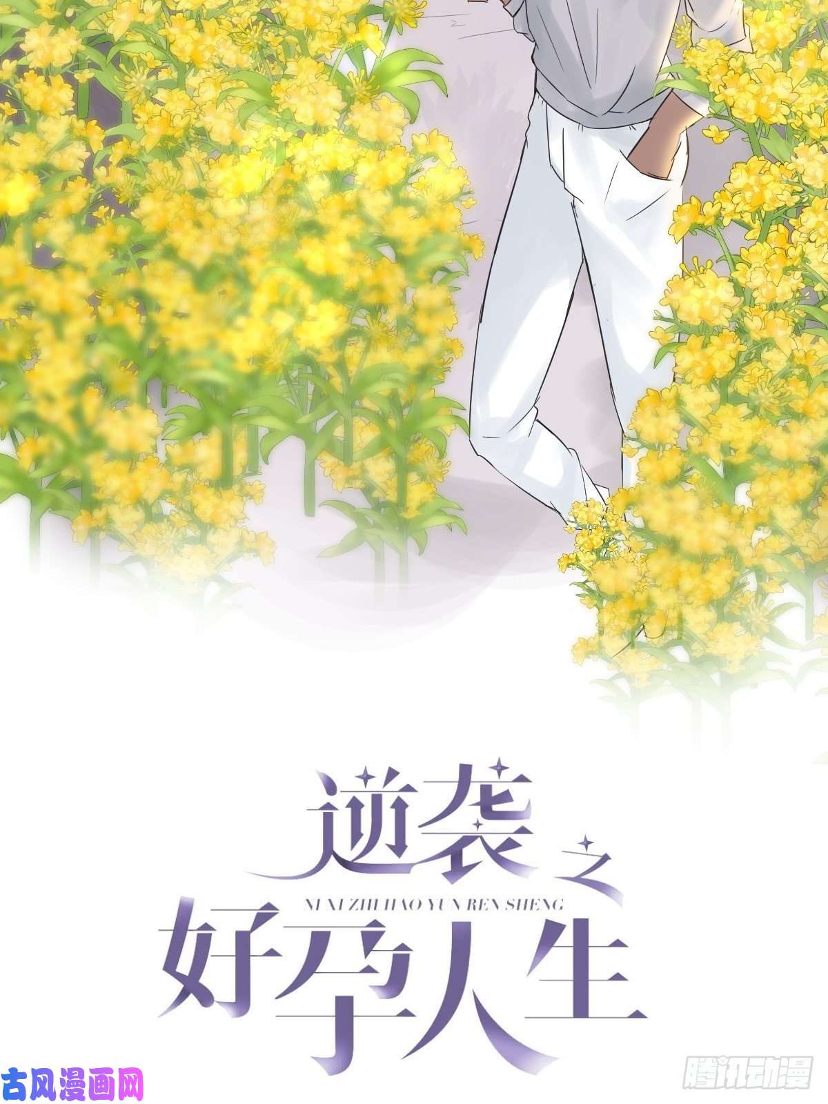 逆袭之好孕人生第90话 辞年救媳妇儿