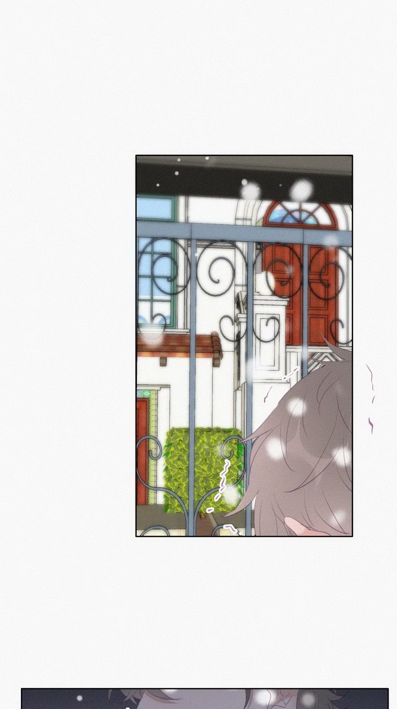 逆袭之好孕人生第101话 二胎有了？