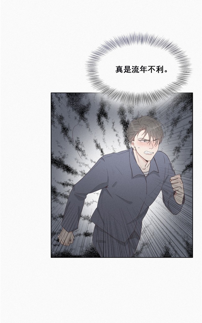 逆袭之好孕人生04 我的人别乱碰