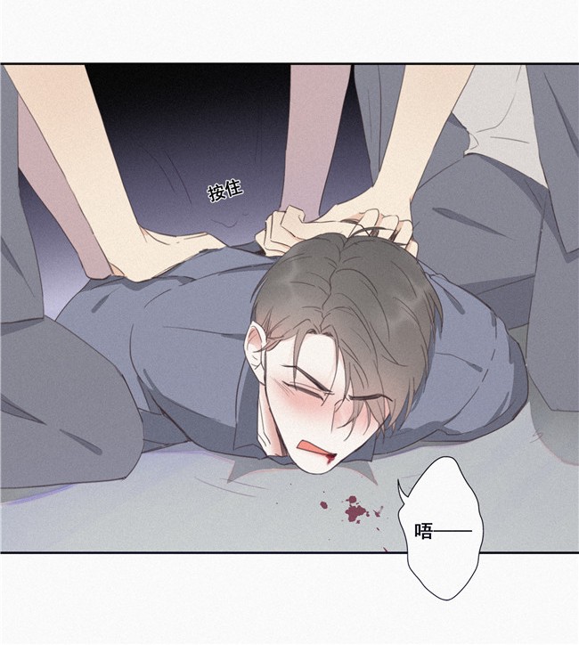 逆袭之好孕人生04 我的人别乱碰