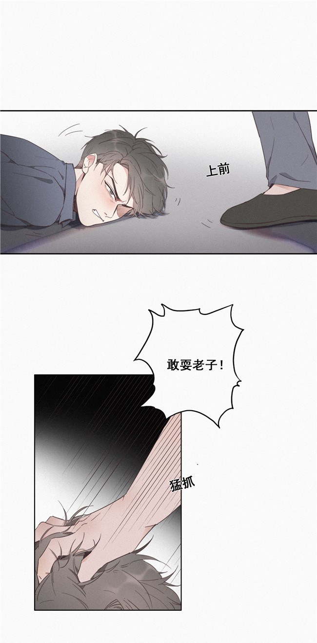 逆袭之好孕人生04 我的人别乱碰