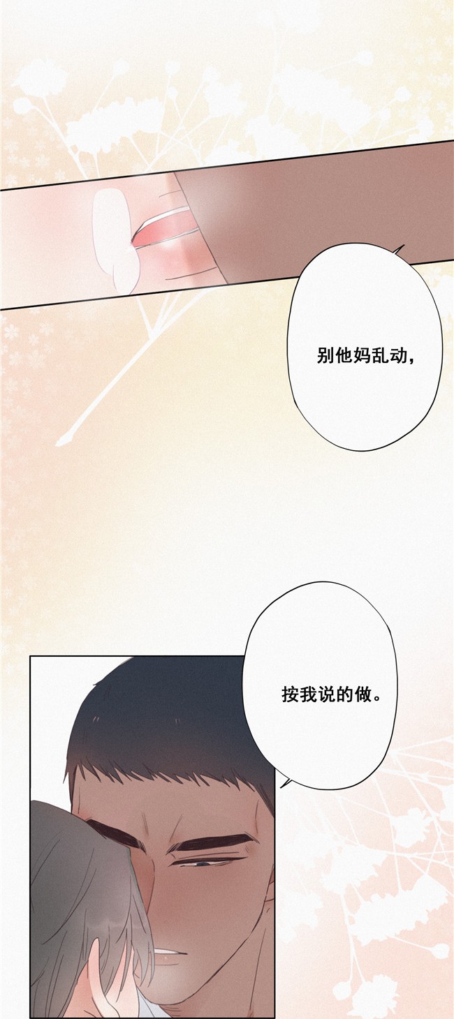 逆袭之好孕人生04 我的人别乱碰