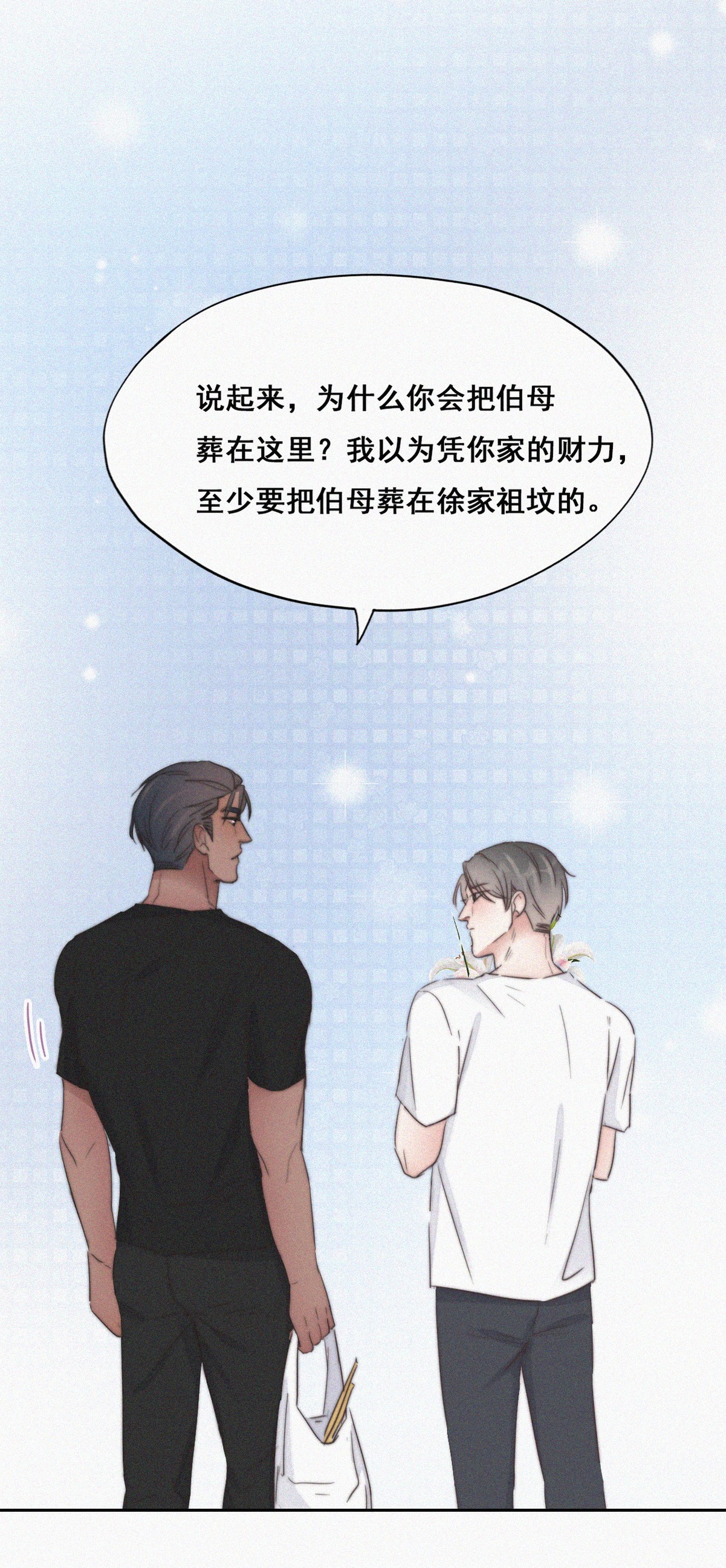 逆袭之好孕人生62 墓园扫墓