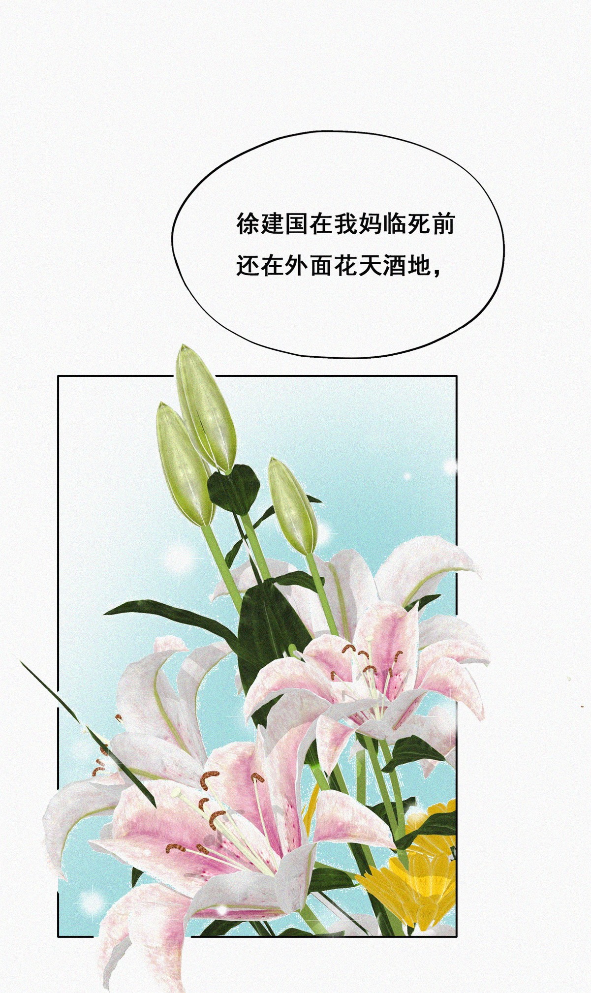 逆袭之好孕人生62 墓园扫墓