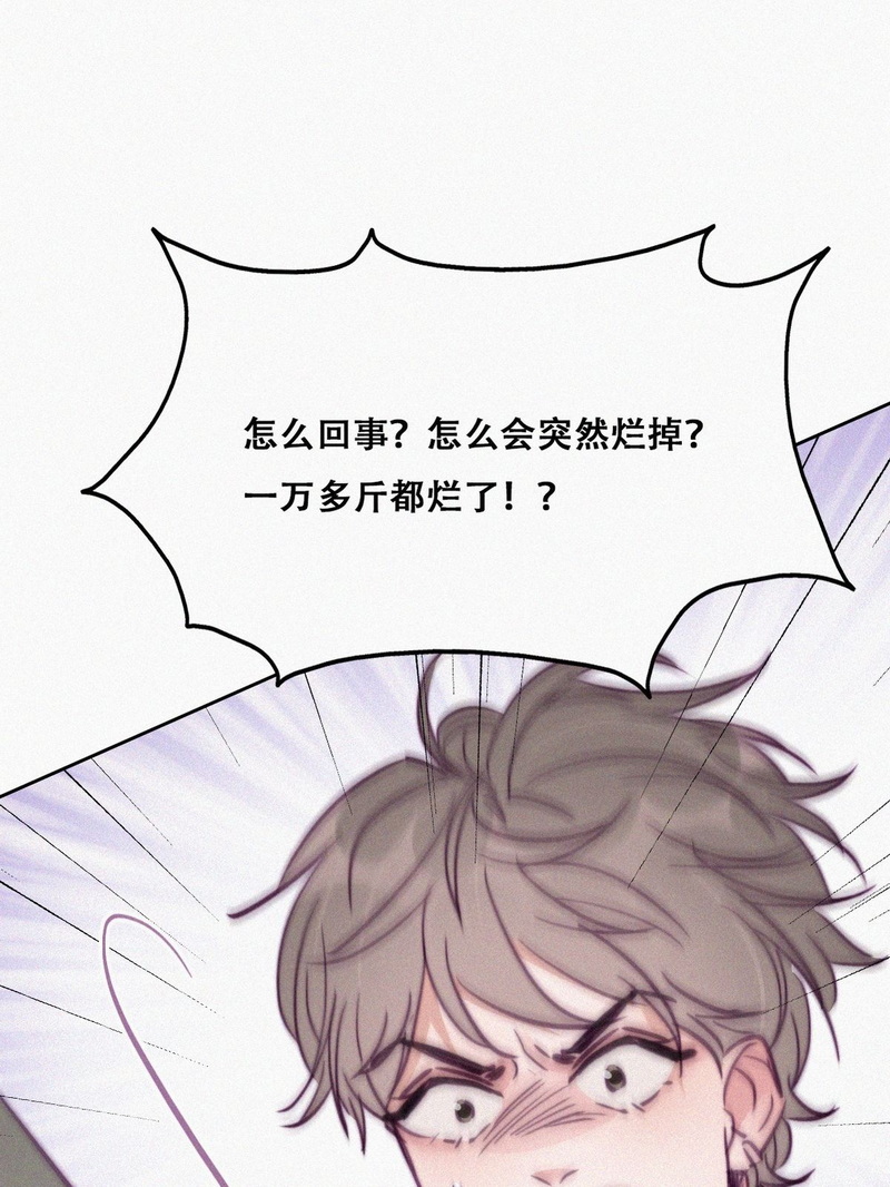逆袭之好孕人生第130 计谋开始