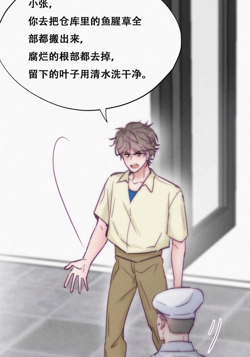 逆袭之好孕人生第131话自掘坟墓